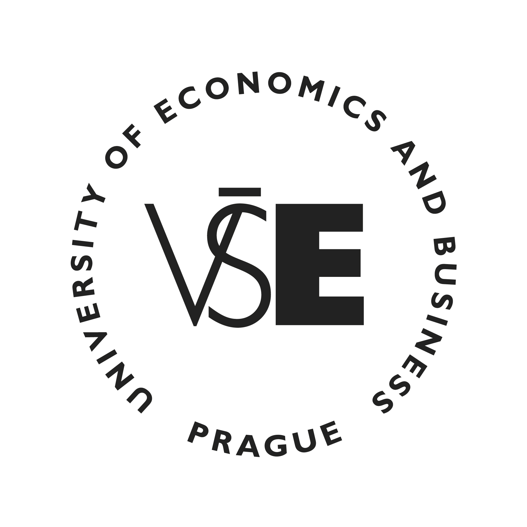 VSE Logo
